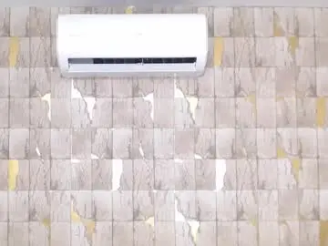 Chaturbate Adult Video Chat of blackchiina