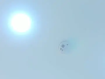 Chaturbate Adult Video Chat of scarlett_morgan_