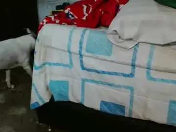 Chaturbate Nude Webcam of dream_real