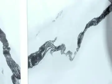 Chaturbate Private Sex Chat of tifany_bigdick