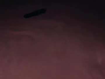 Chaturbate Nude Webcam of daphne_moss