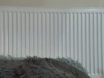 Chaturbate Nude Webcam of anaworld69