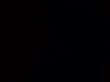 Chaturbate Adult Video Chat of boca34345