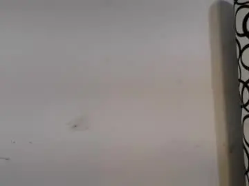 Chaturbate Adult Webcam of angels_chat