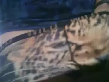 Chaturbate Sex Chat of ikwiljeneuken123