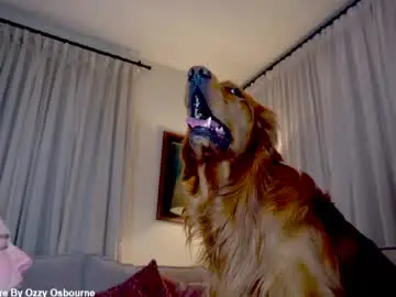 Chaturbate Live Sex of x_lily_x