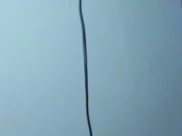 lotto_bloom from chaturbate