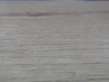 Chaturbate Nude Webcam of madison_copers