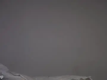 Chaturbate Best live sex cam show of yamp_bigcock