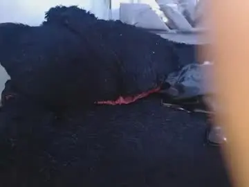 Chaturbate Watch Live Sex Cams of toxxxic_cams