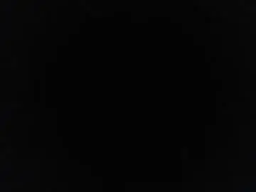 pallavolista73 from chaturbate