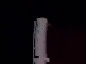 Chaturbate Private Sex Chat of fffjj021