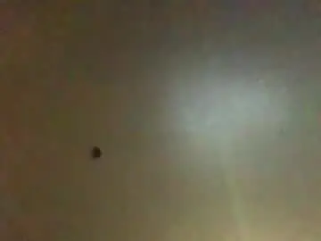 Chaturbate Sex Chat of hardforyou3030