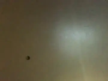 Chaturbate Best Webcam of hardforyou3030