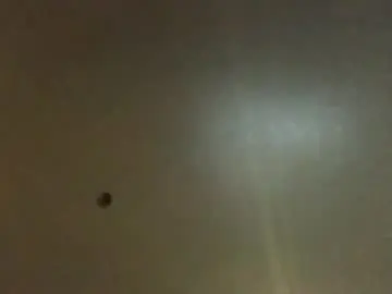 Chaturbate Sex Chat of hardforyou3030