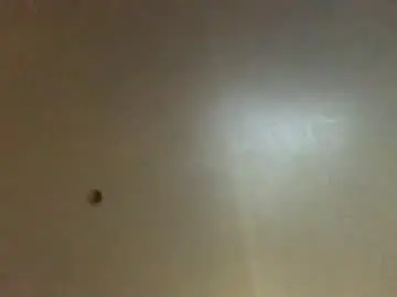 Chaturbate Nude Webcam of hardforyou3030