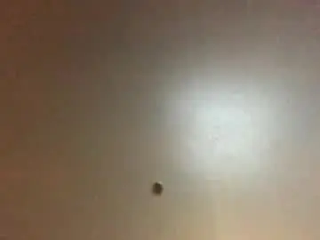 Chaturbate Sex Chat of hardforyou3030