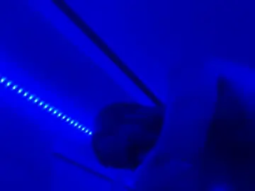 Chaturbate Free Live Porn of lyinonme