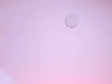 Chaturbate Nude Webcam of adharasweet1