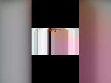 Chaturbate Adult Video Chat of jayson_rdz