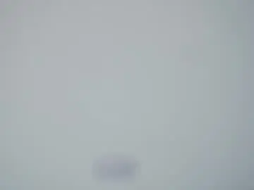 Chaturbate Live Sex Cam of willodeanwassell