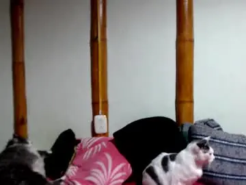 Chaturbate Adult Webcam of miahells