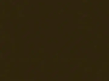 Chaturbate Sex Chat of cookieforme