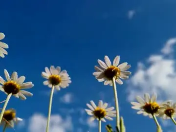 Chaturbate Nude Webcam of juice6abby9