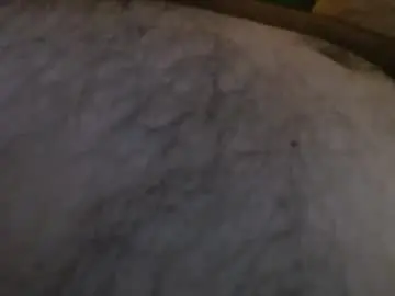 Chaturbate Adult Webcams of manitimo