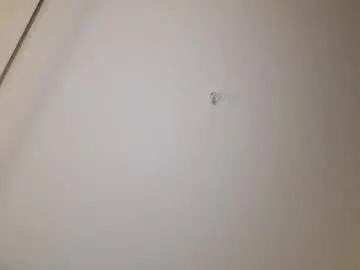 Chaturbate Live Sex of patrick247288