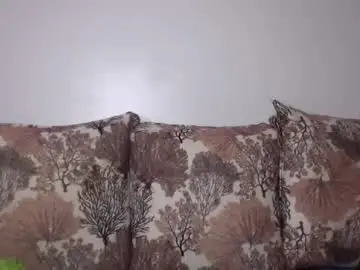 Chaturbate Sex Cam of slimy_baiby