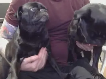 Chaturbate Sex Cam of ausmopolitan