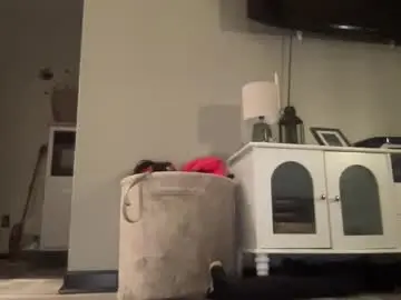 Chaturbate Adult Webcams of boywithaplan998