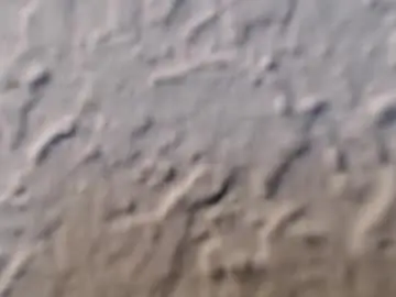 Chaturbate Adult Webcam of neboner9