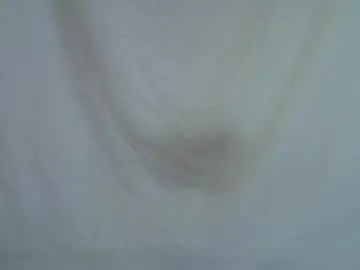 Chaturbate Best Webcam of hornybeb36