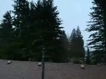 Chaturbate Live Sex Cam of bluezed4