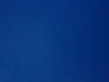 Chaturbate Free Porn Cam of bonershow