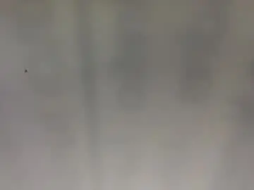 Chaturbate Free Live Porn of bonershow