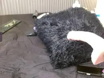 Chaturbate Sex Chat of lancelot_19