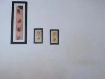 Chaturbate Sex Chat of ebanoymarfil2