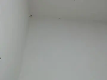 Chaturbate Sex Chat of drako_monstercock