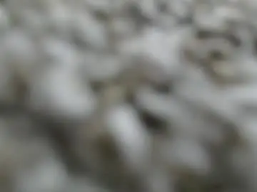 Chaturbate Best live sex cam show of sissysha