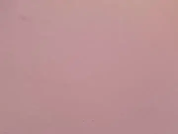 Chaturbate Free Live Porn of zoee_martins_