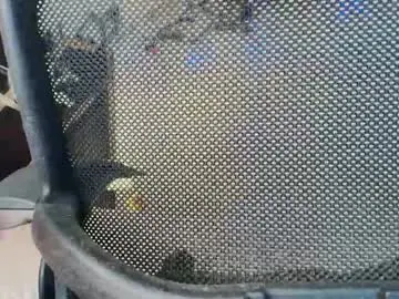 Chaturbate Adult Video Chat of ameliie_saenz