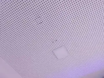 Chaturbate Best Webcam of valerymeyerr