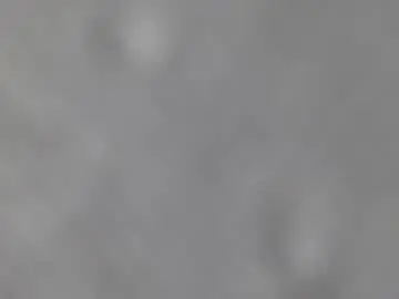 Chaturbate Live Sex of axel_fox7