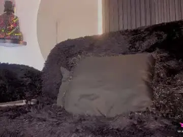 Chaturbate Adult Webcams of aron_steel04