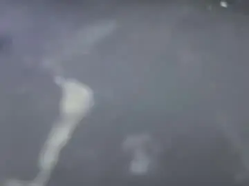 Chaturbate Adult Webcams of catmandoo21001