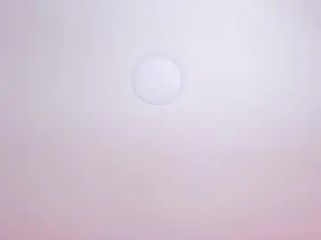 susanadams1 from chaturbate