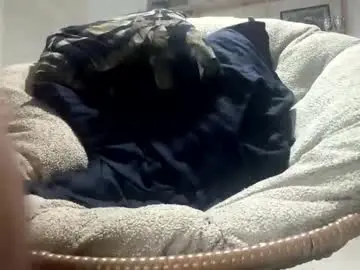 Chaturbate Best Webcam of specialll27